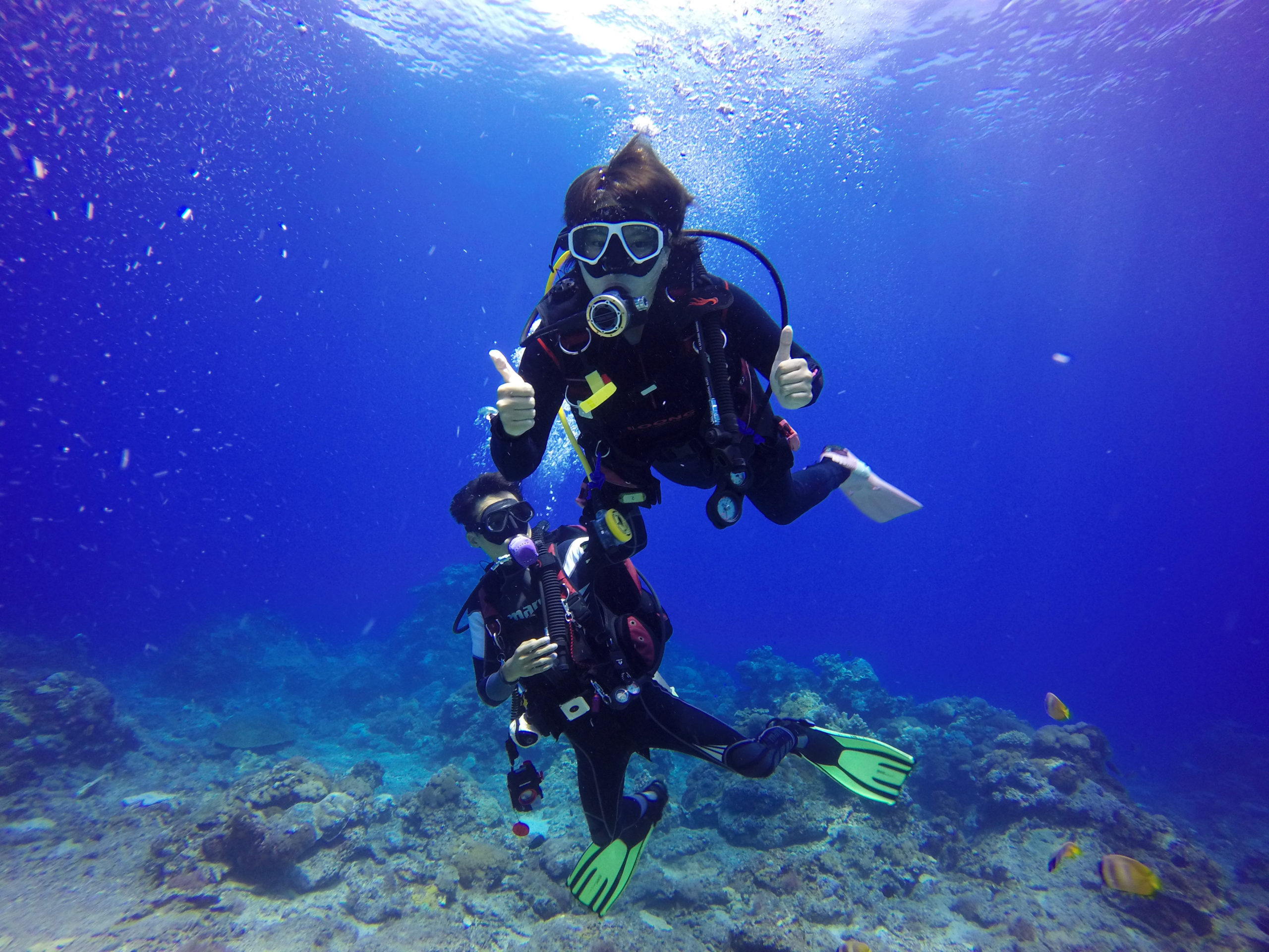 Scuba Diving Adventure