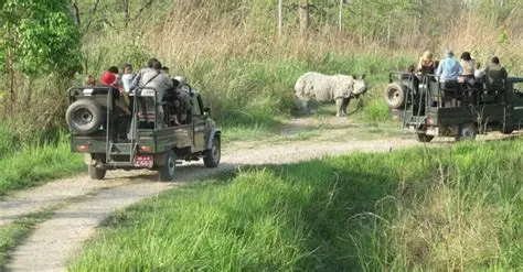 Jungle Jeep Safari