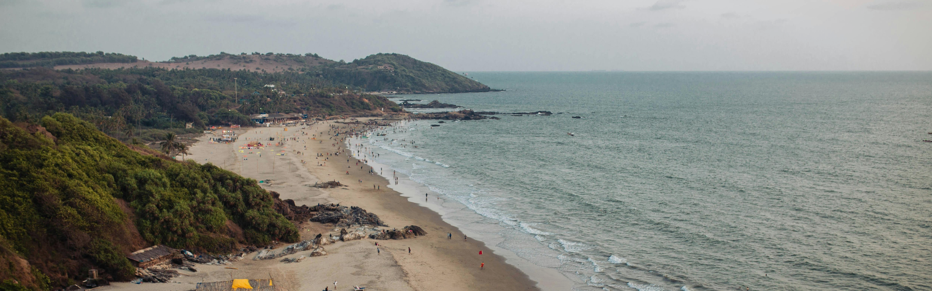 Terms and Conditions